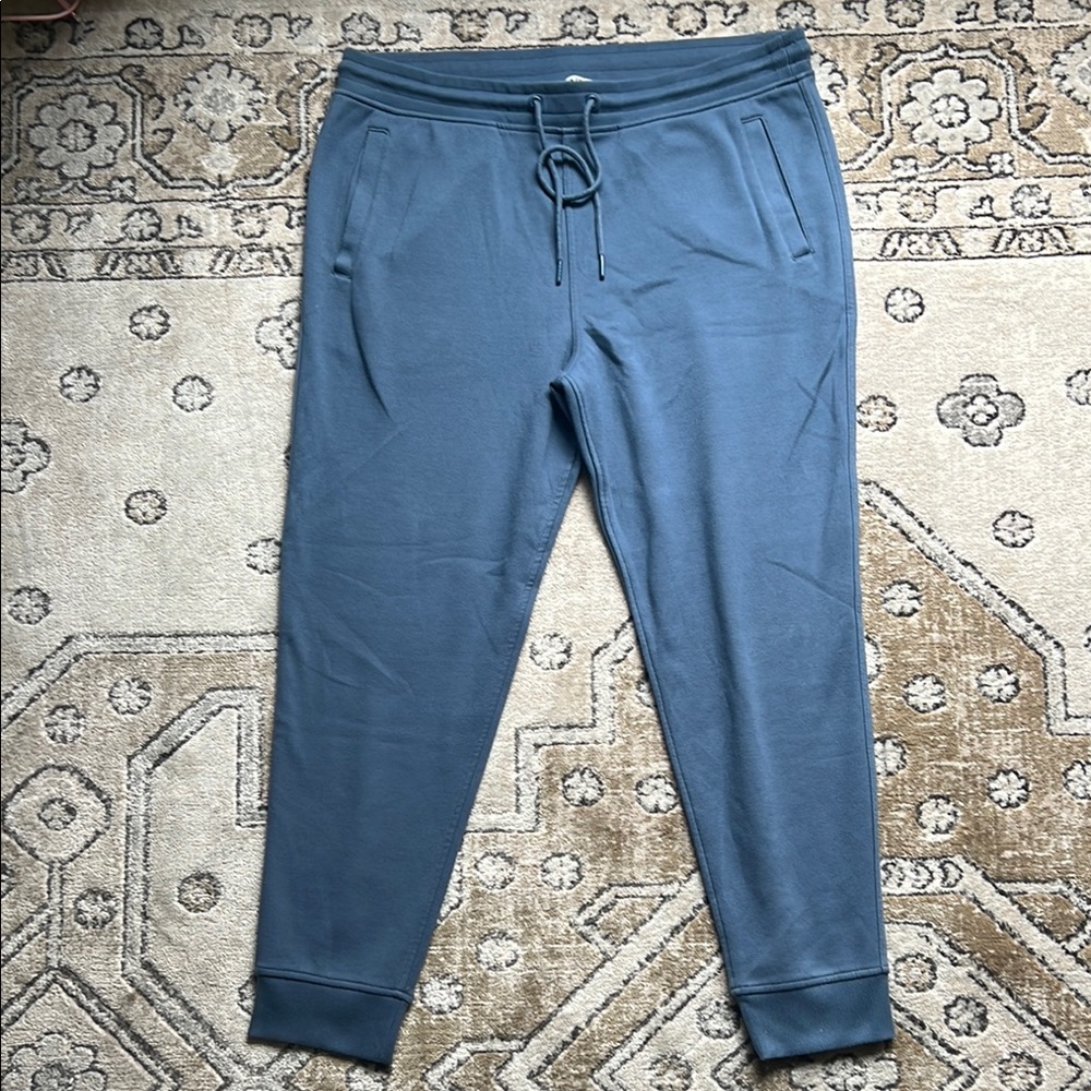 Express Men's Blue Jogger Pants